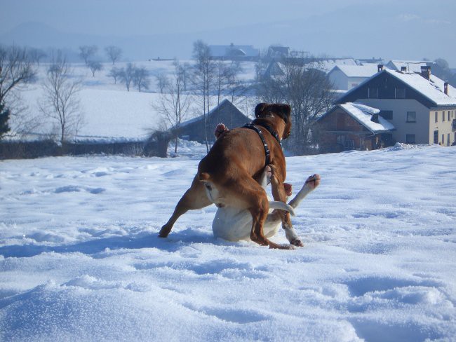 Rudy&Ron - foto povečava