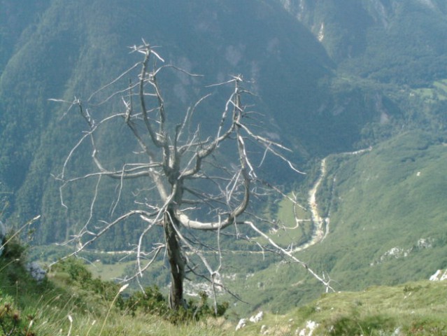 BOVEC - foto