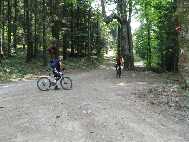 BOHOR - foto povečava