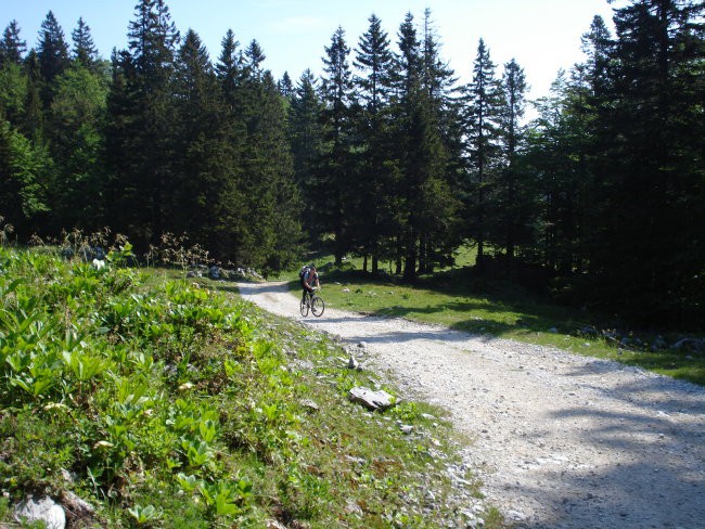 Menina - foto povečava