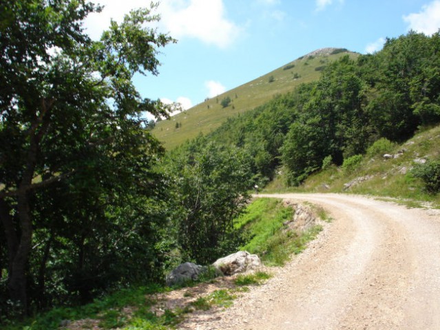 Lošinj 2007 - foto