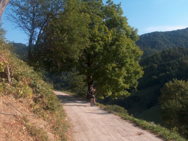 Paški Kozjak - foto