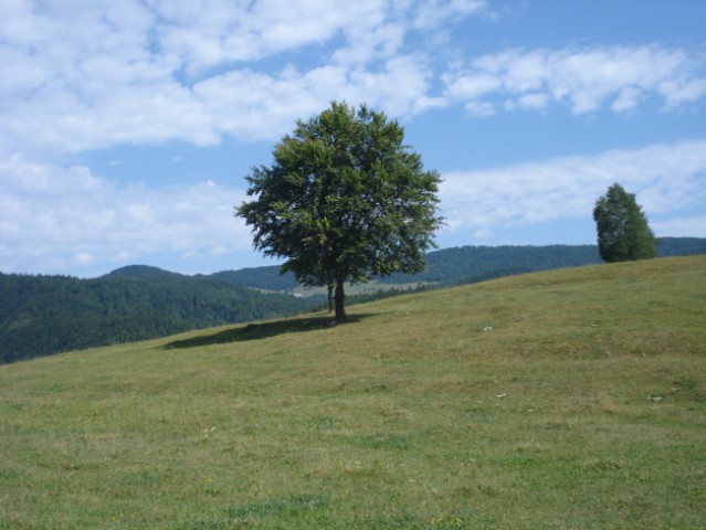 Paški Kozjak - foto