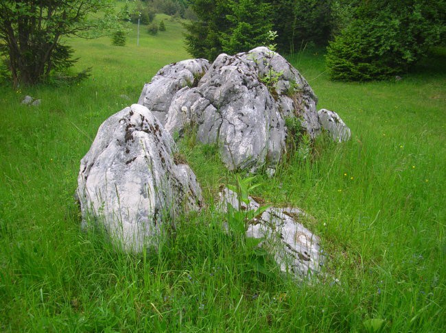 Ekološka kmetija - foto povečava