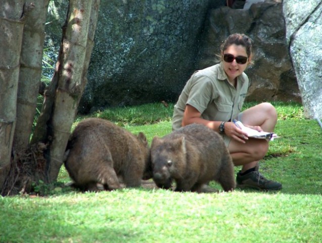 Australia - foto