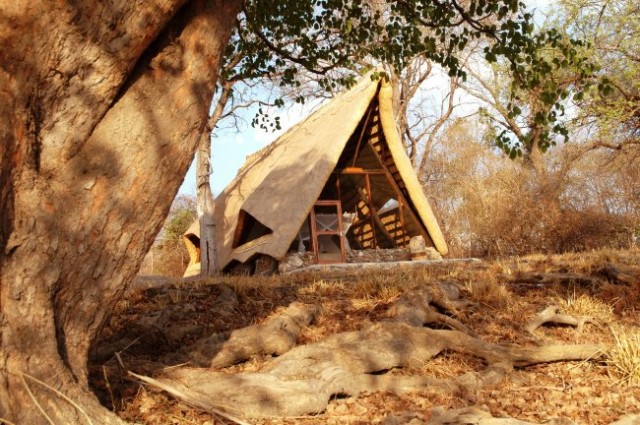 Hippo Lodge, National park Kafu, Zambia - foto