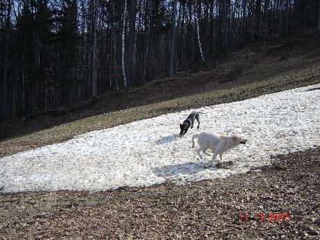 India 6 mesecev, marec 2007: izlet na Pohorje - foto povečava