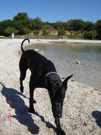 India na eni ful lepi plaži!