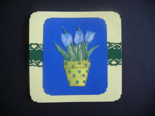 Tulipani