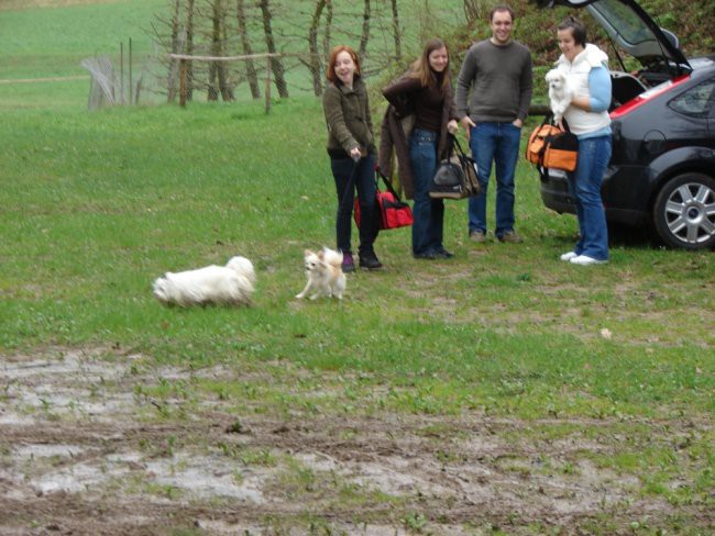 4. Maltežanijada, 13.4.2008 - foto povečava