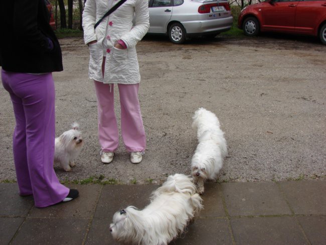 4. Maltežanijada, 13.4.2008 - foto povečava