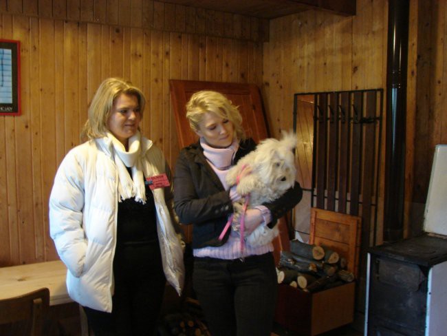 4. Maltežanijada, 13.4.2008 - foto povečava