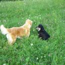 Mici & Rika