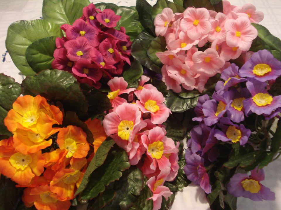 Mix - foto povečava