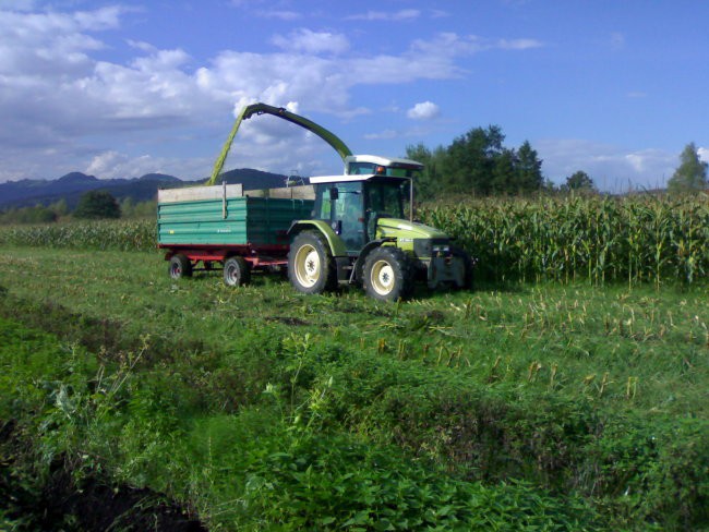 Silaža 2006 - foto povečava