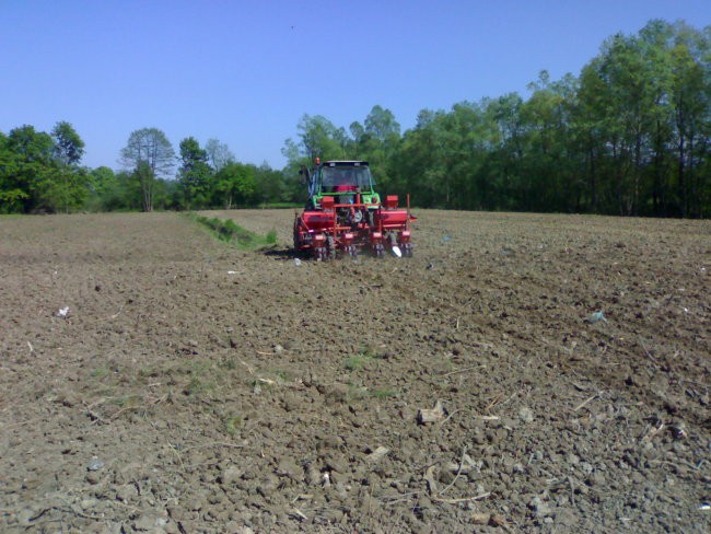 Sadenje koruze 2007 - foto povečava