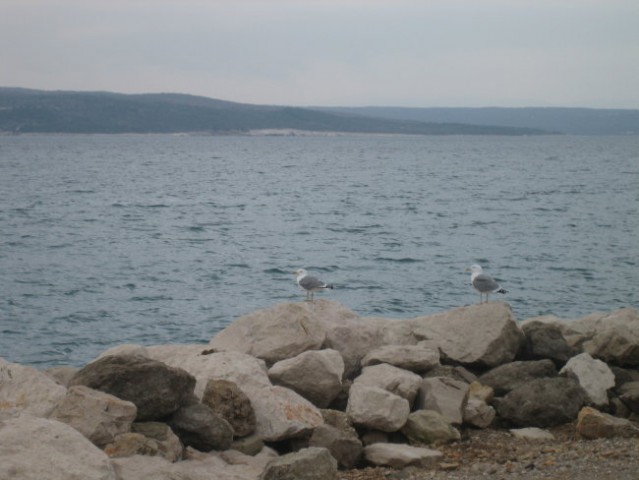 Crikvenica - foto