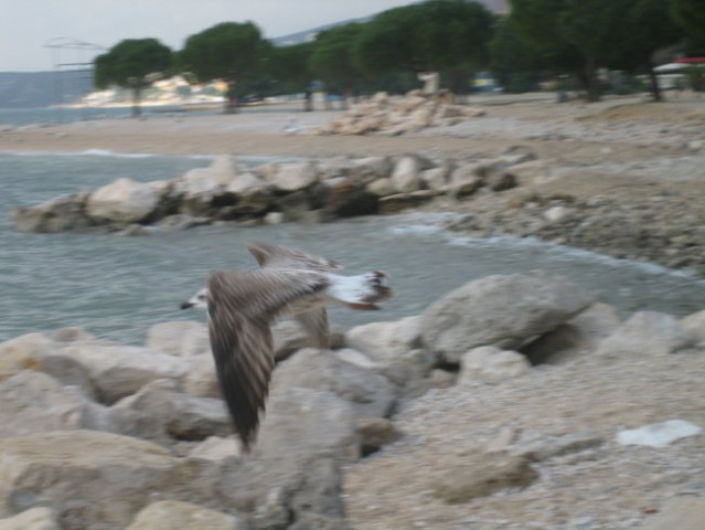 Crikvenica - foto