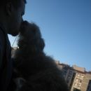 nola & me