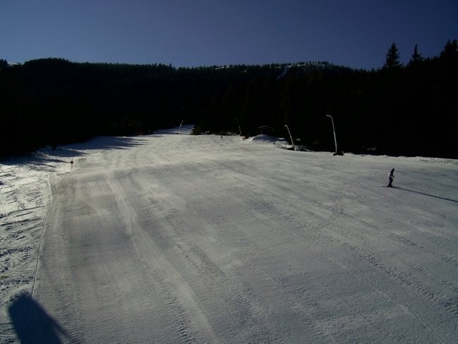 tepih