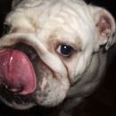 gimme a kiss