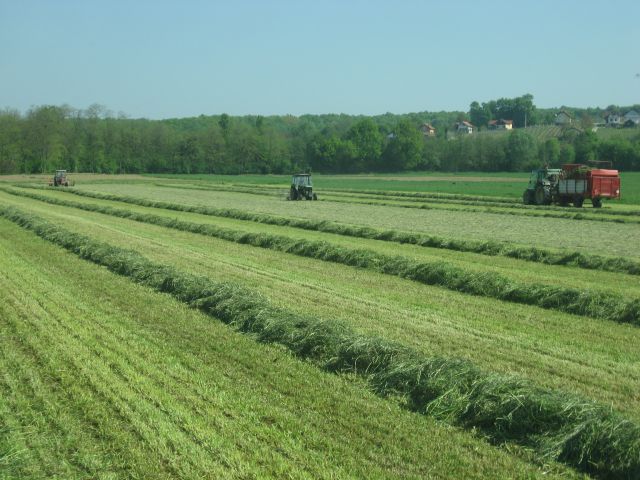 Novi stroji - foto