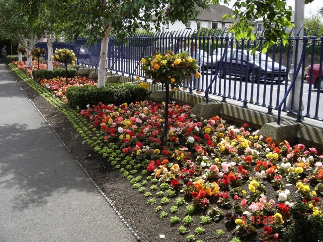 Dun Laoghaire - foto povečava