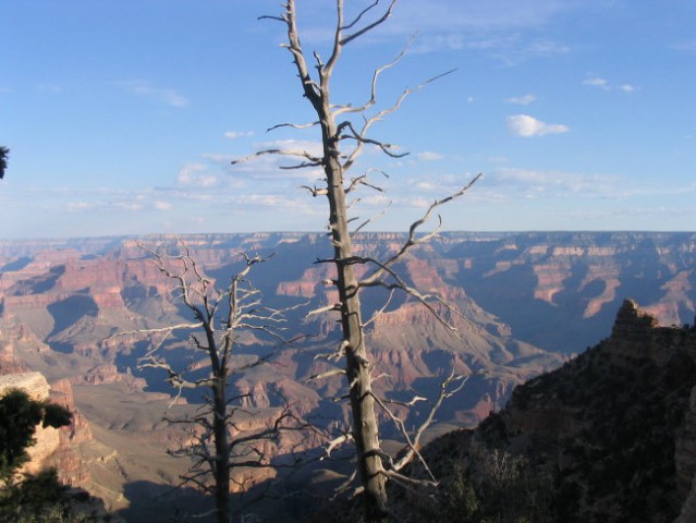 Grand canyon - foto