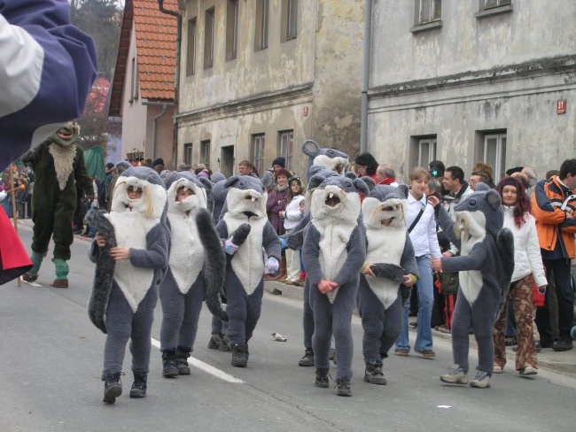 Pust - foto povečava