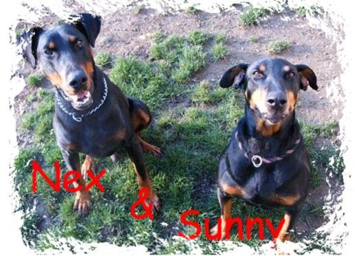Sunny&nex - foto