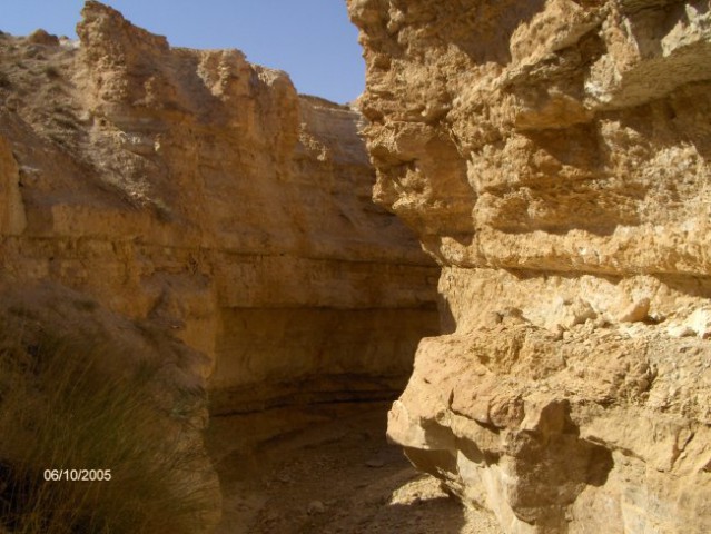 DJERBA - foto