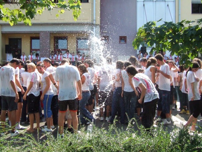 Krst fazanov 2008 - foto povečava