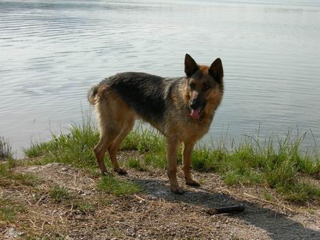 Rudniško jezero (6.7.2006) - foto povečava