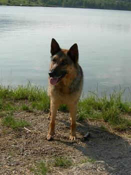 Rudniško jezero (6.7.2006) - foto povečava