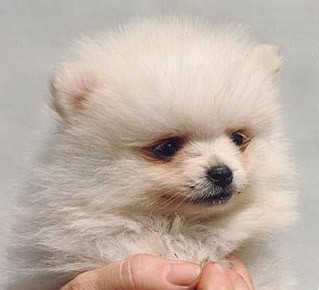 Nataša - foto povečava