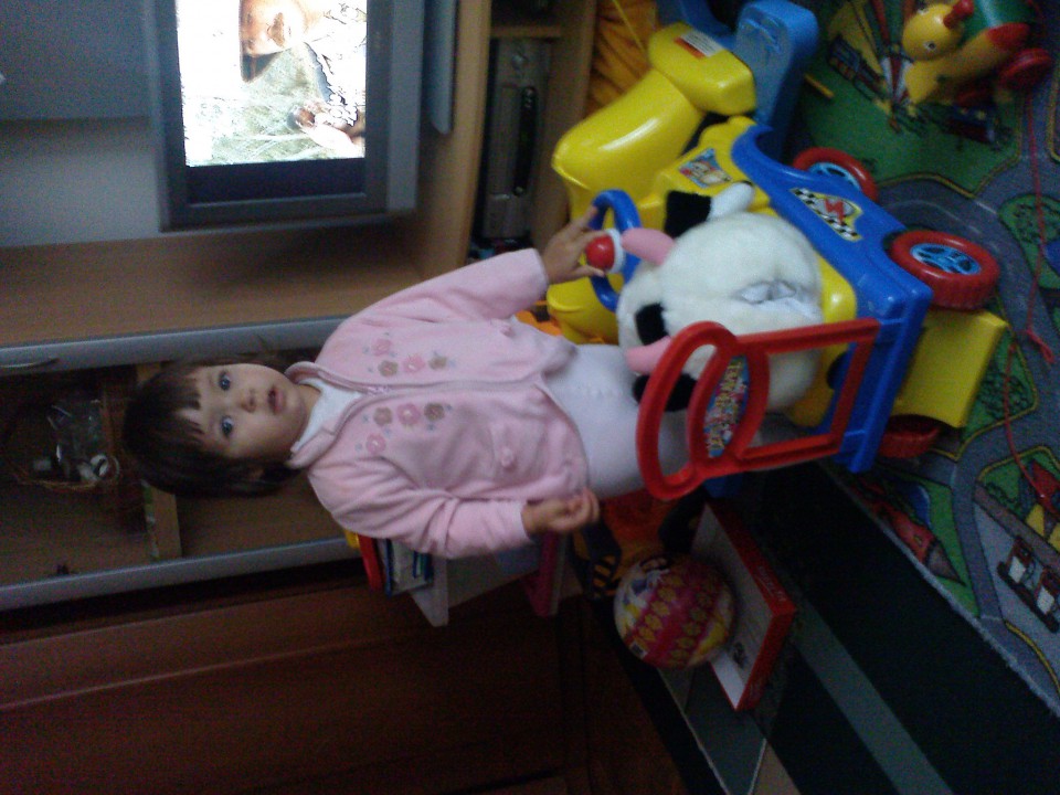 Jelena - 1 rojsni dan Međimurje do 10/2008 - foto povečava