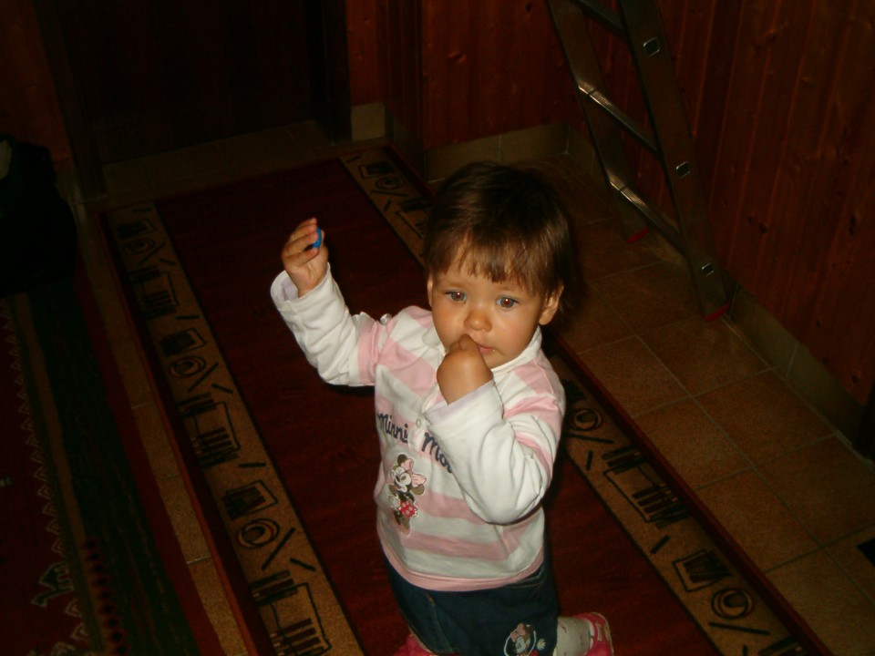 Jelena - 1 rojsni dan Međimurje do 10/2008 - foto povečava