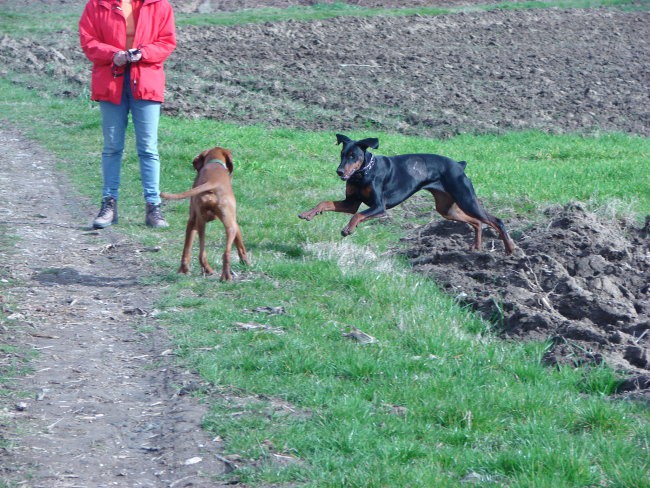 AKS, LENA, JOY - foto povečava