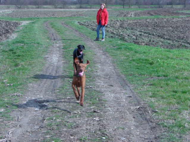 AKS, LENA, JOY - foto