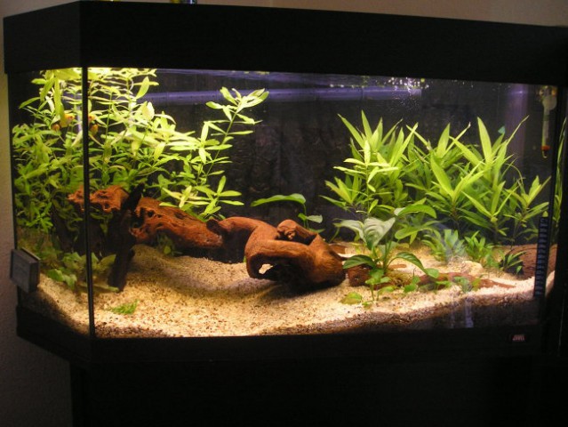 Novi akvarij - foto