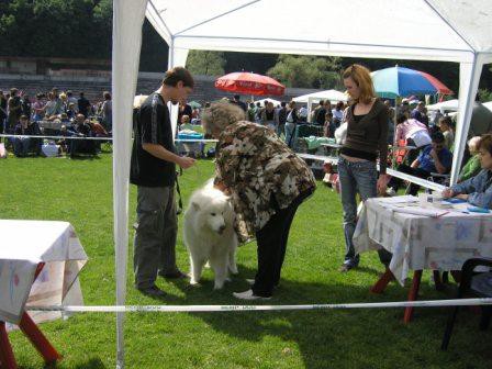 CACIB VALJEVO 01.05.07. - foto povečava