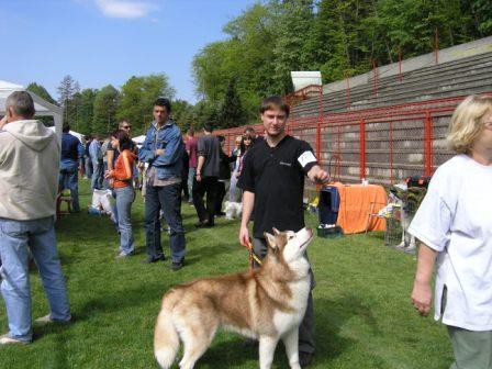 CACIB VALJEVO 01.05.07. - foto