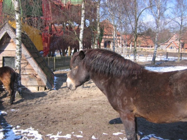 Hannover 2006 - foto