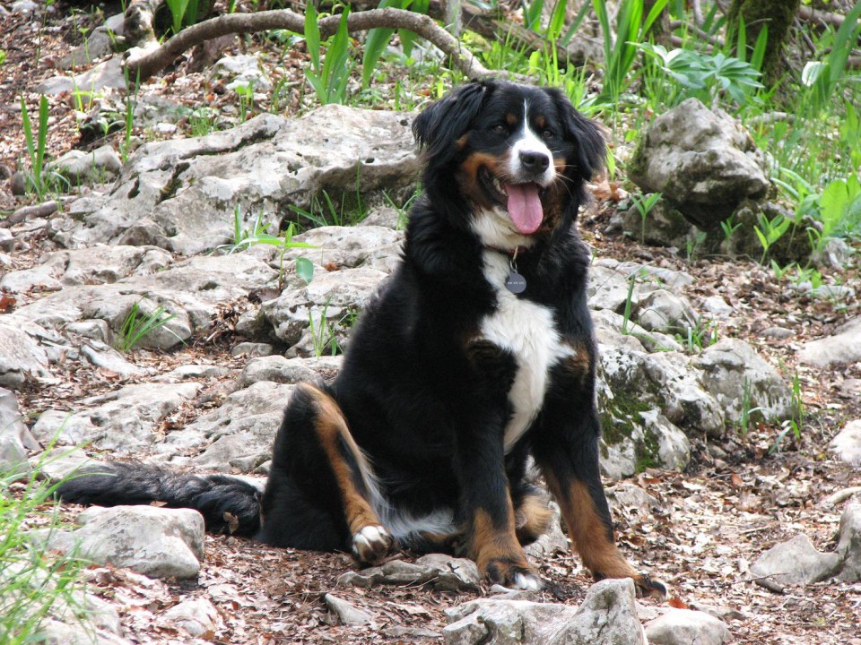 Zara - foto povečava