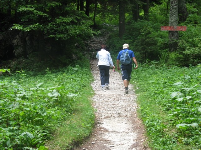 Izlet logarska dolina 2009 - foto povečava