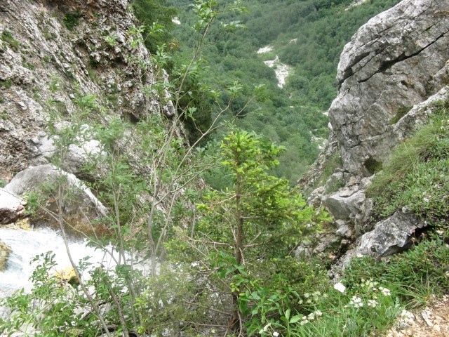 Izlet logarska dolina 2009 - foto povečava