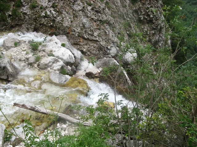 Izlet logarska dolina 2009 - foto povečava