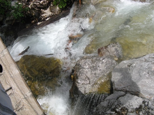 Izlet logarska dolina 2009 - foto povečava