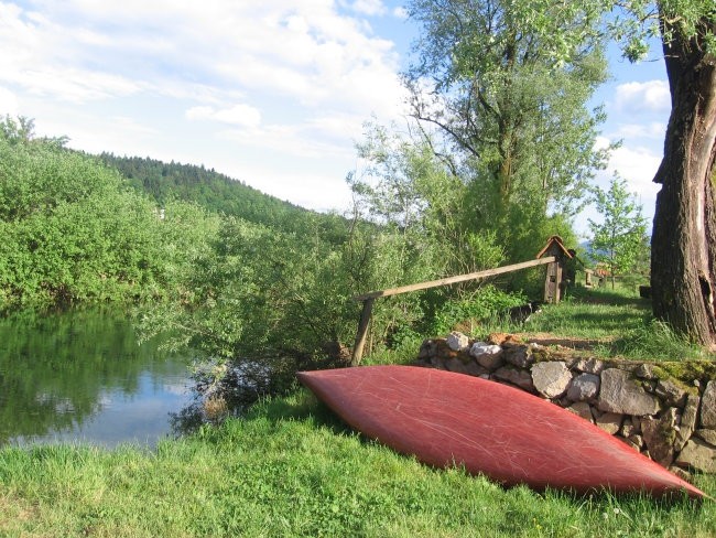 Suri 3 mesece - foto povečava