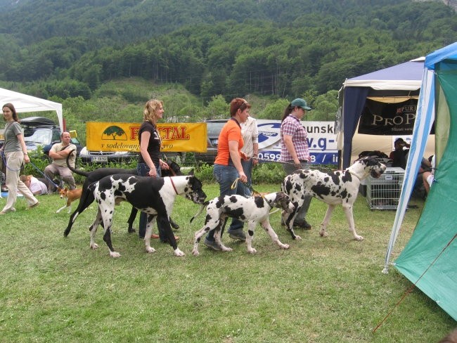 Razstava Hrušica 2007 - foto povečava